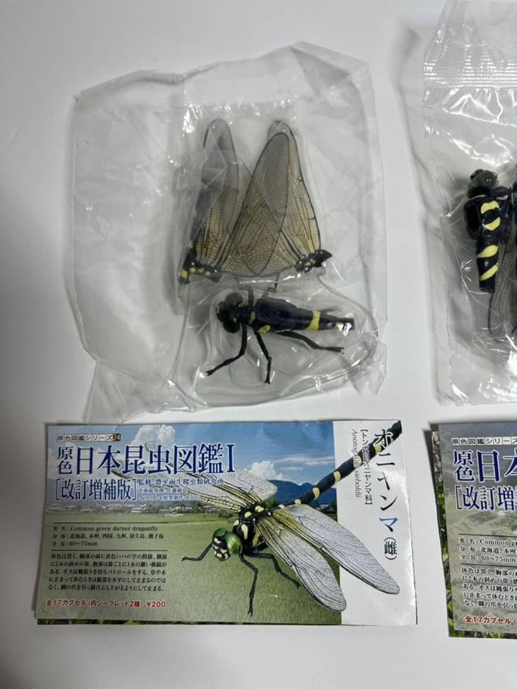 Amazon.co.jp: 原色日本昆虫図鑑 改訂増補版 オニヤンマ（雄 雌